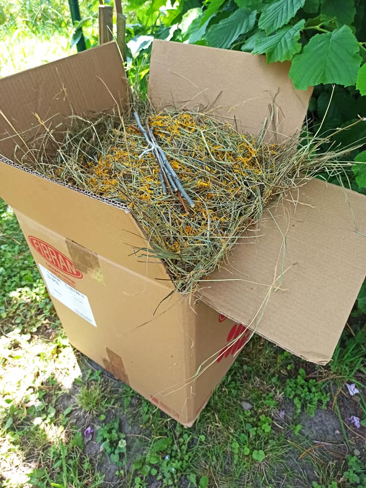 Bylinkové seno - ochutnávka