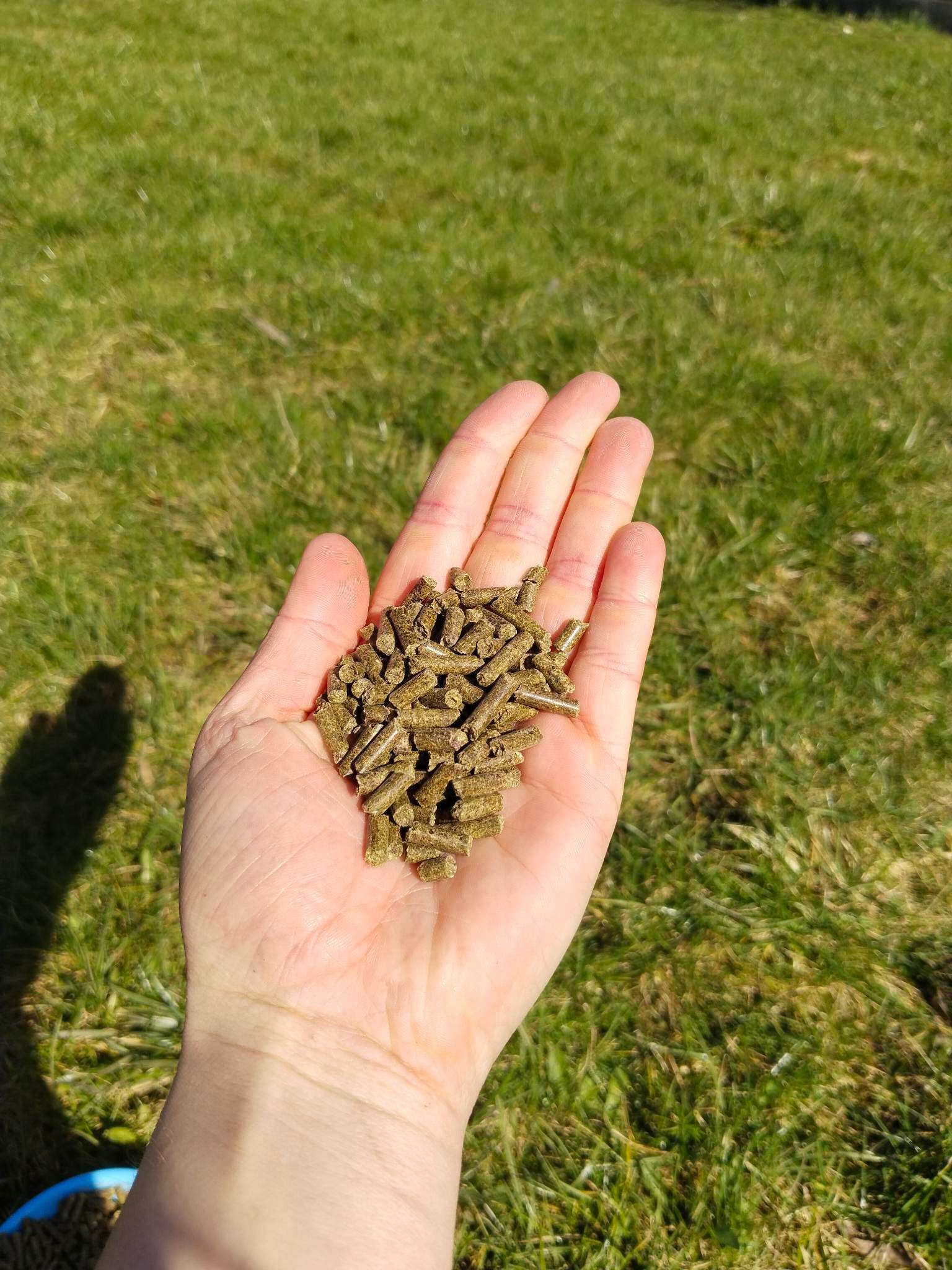 Granule - bezobilné králík