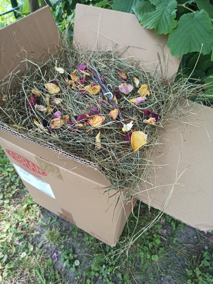 Kompletní jídelníček králík - 1 měsíc