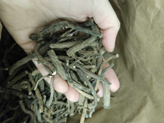 Pampeliška kořen 120g